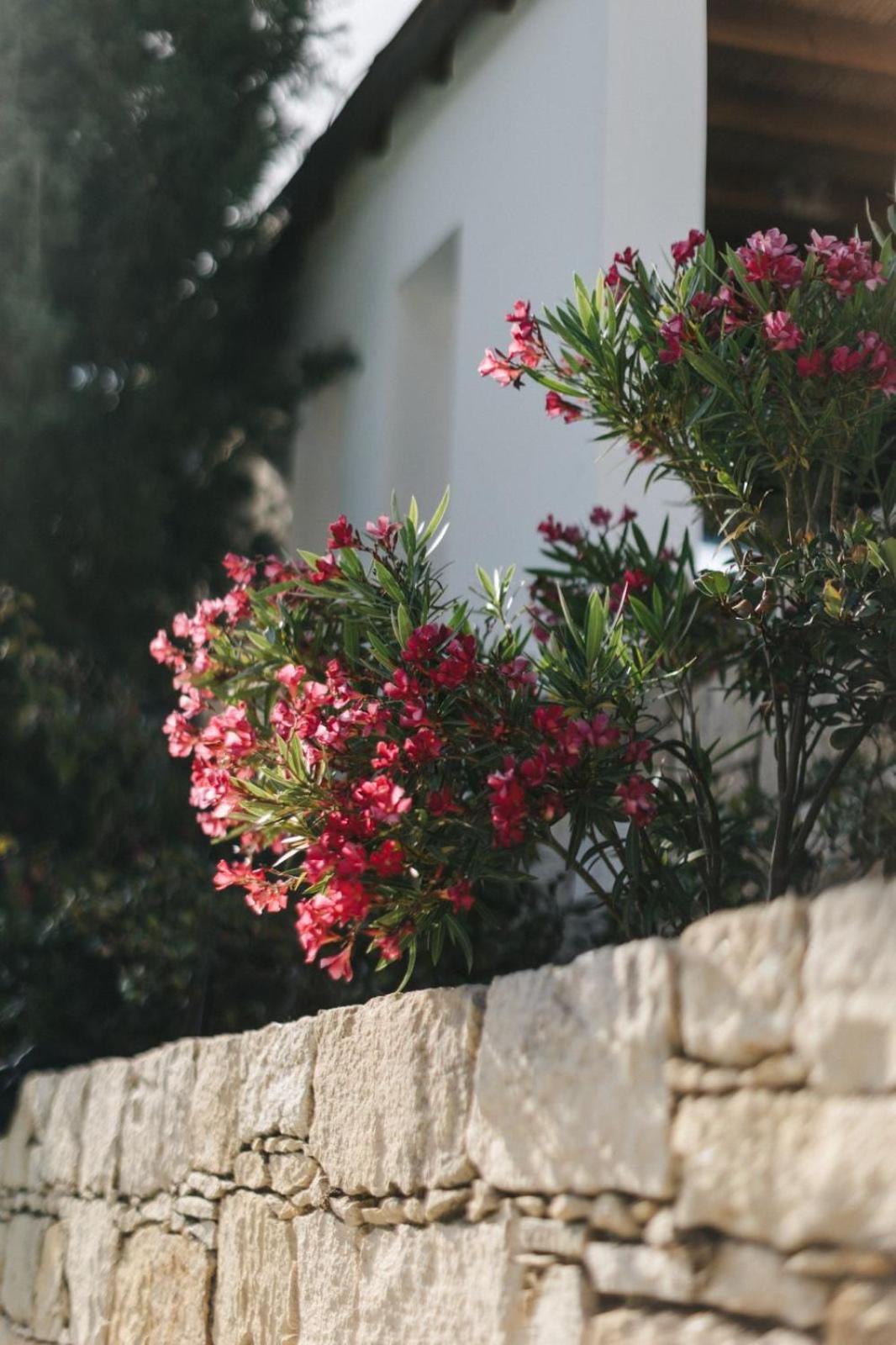 בית הארחה Malya 	Cecilias Courtyard מראה חיצוני תמונה